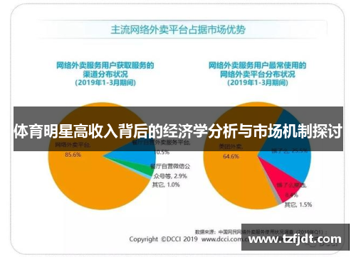 体育明星高收入背后的经济学分析与市场机制探讨