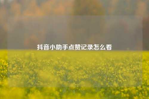 抖音小助手点赞记录怎么看