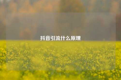 抖音引流什么原理