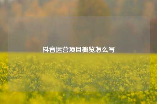 抖音运营项目概览怎么写