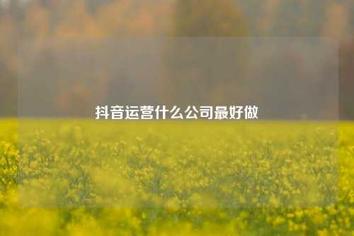 抖音运营什么公司最好做
