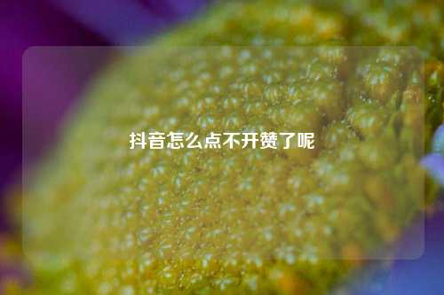抖音怎么点不开赞了呢