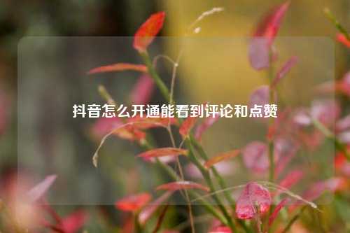 抖音怎么开通能看到评论和点赞