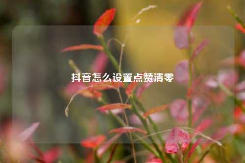抖音怎么设置点赞清零