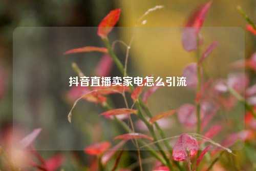 抖音直播卖家电怎么引流