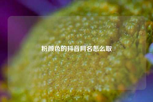 粉颜色的抖音网名怎么取