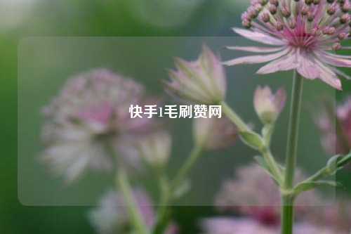 快手1毛刷赞网