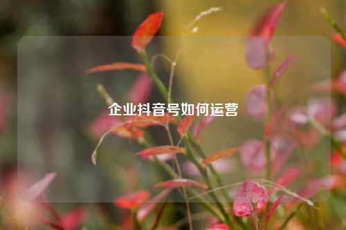 企业抖音号如何运营