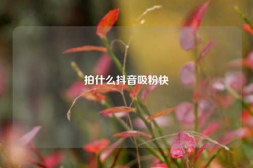 拍什么抖音吸粉快