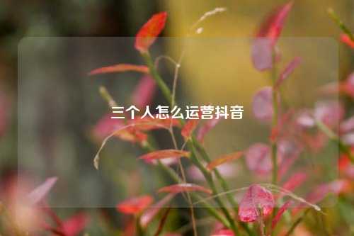 三个人怎么运营抖音