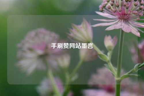 手刷赞网站墨言