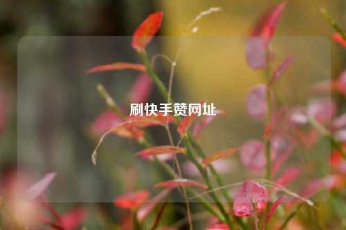刷快手赞网址