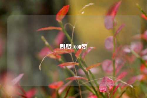 刷赞1000赞
