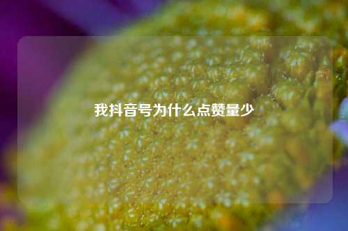 我抖音号为什么点赞量少