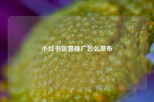 小红书运营推广怎么发布